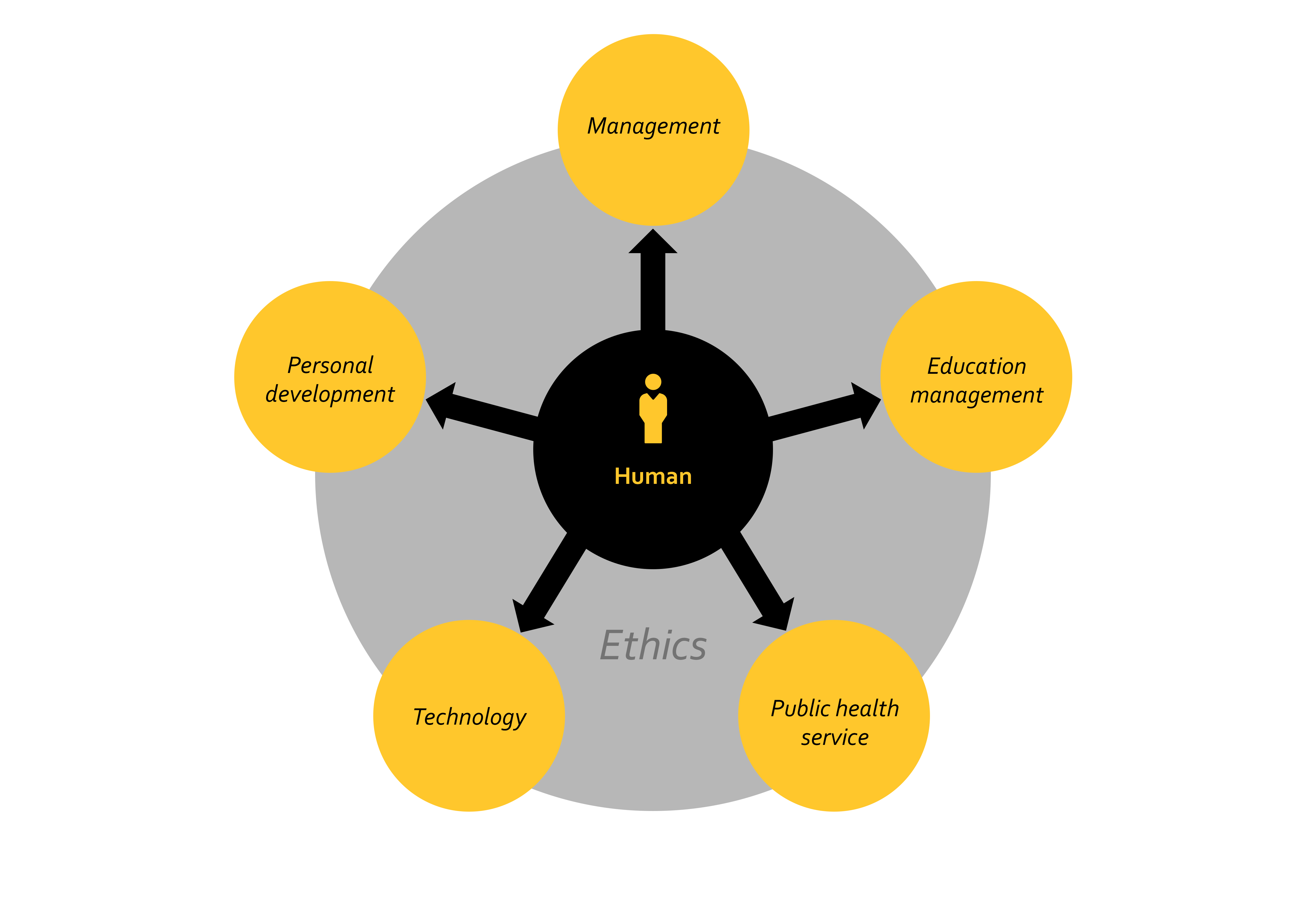 Areas in Competence 2 | © Steinbeis+Akademie 2019